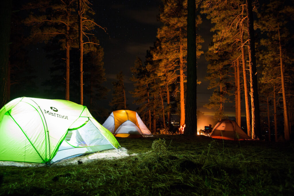 Zelt, Camping, Wald campen
